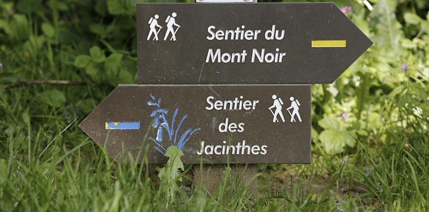 sentier du mont noir