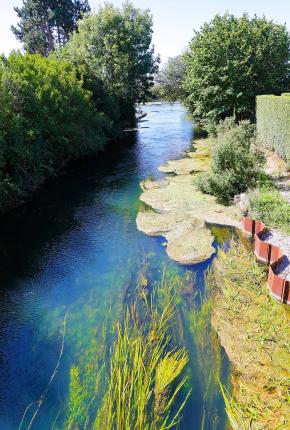 Marais de Lecluse