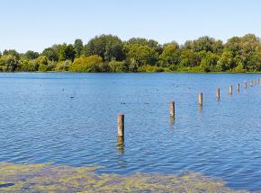 Marais de Lecluse