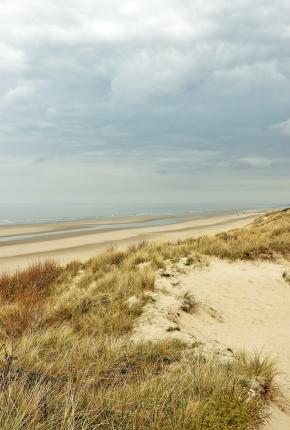 dune marchand 2