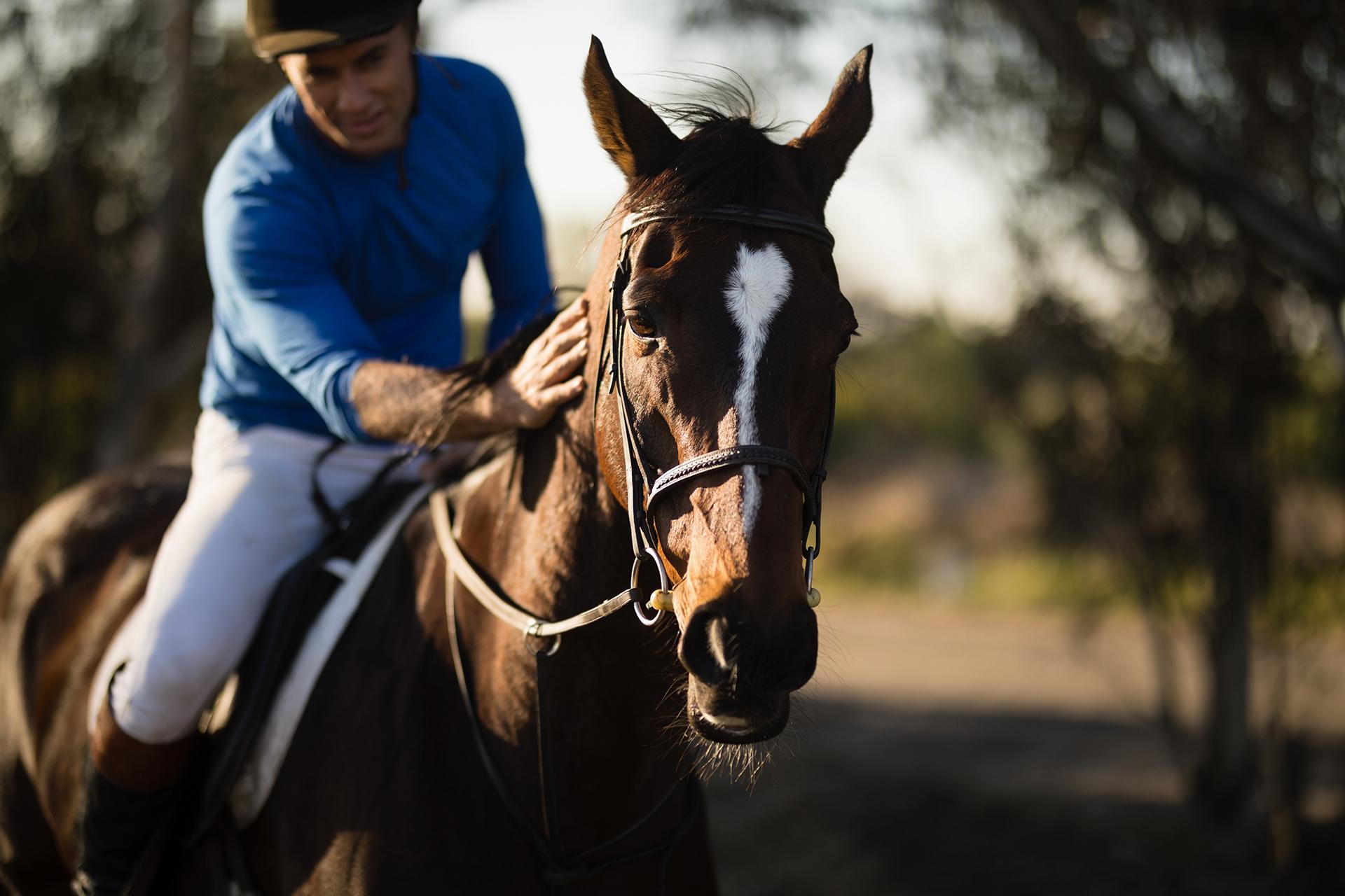 cheval